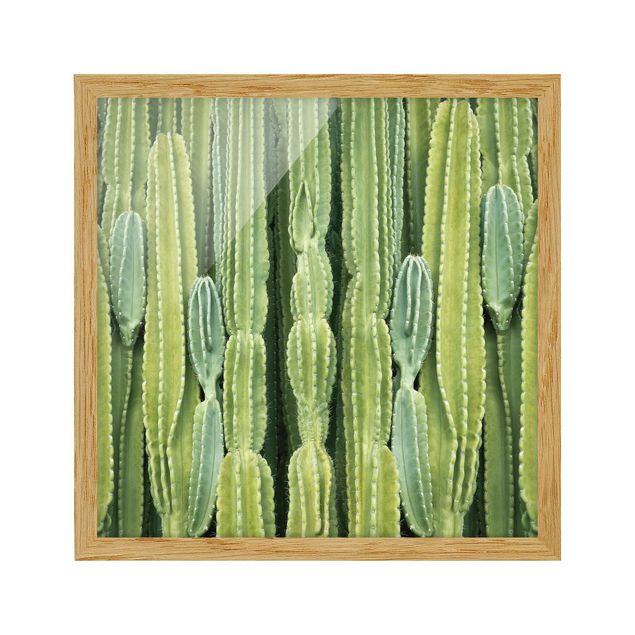 Flower pictures framed Cactus Wall
