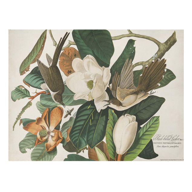 Floral canvas Vintage Board Cuckoo