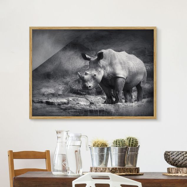 Animal canvas Lonesome Rhinoceros