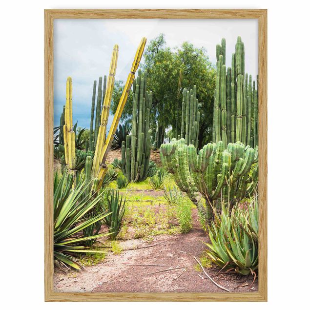 Floral prints Cactus Landscape