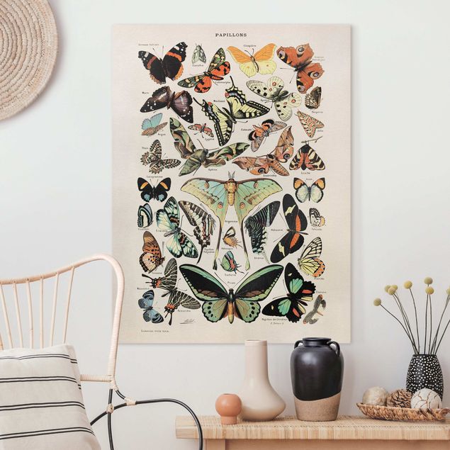 Butterfly art print Vintage Board Butterflies And Moths