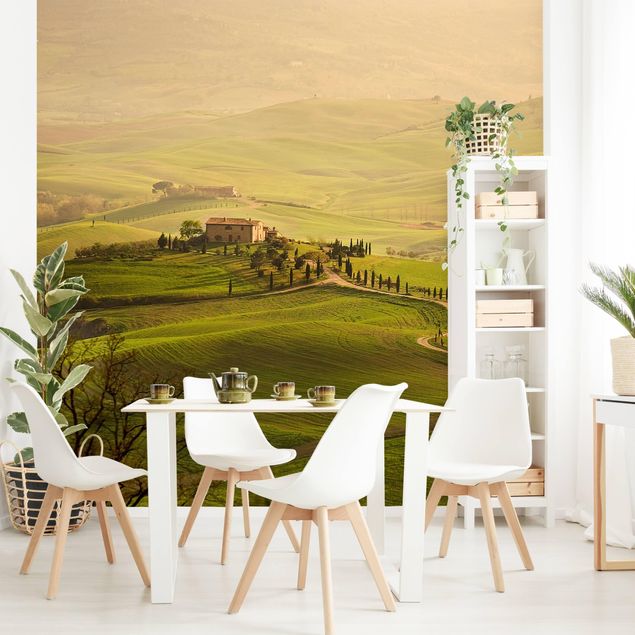 Modern wallpaper designs Chianti Tuscany