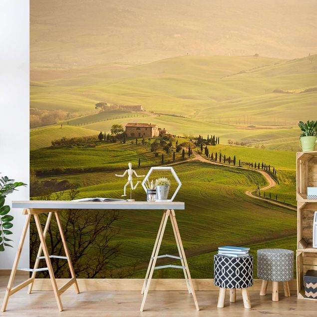 Wallpapers green Chianti Tuscany
