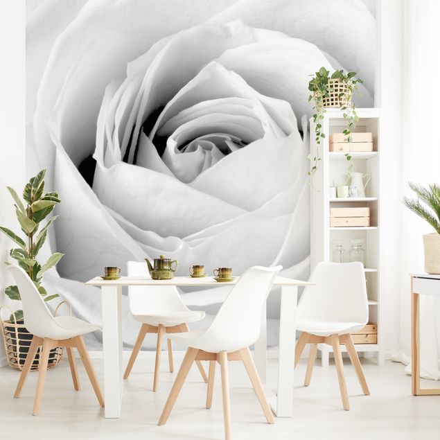 Black and white aesthetic wallpaper Close Up Rose