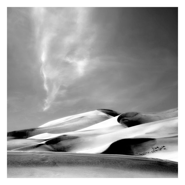 Wallpapers landscape Colorado Dunes Black And White