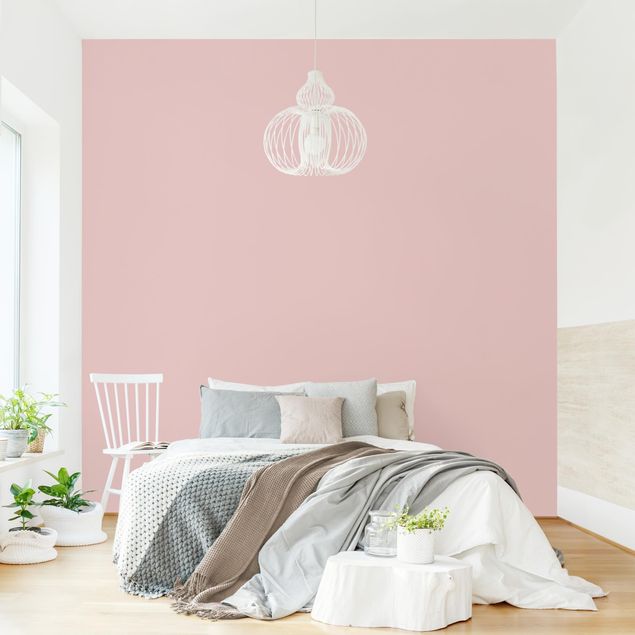 Contemporary wallpaper Colour Rose