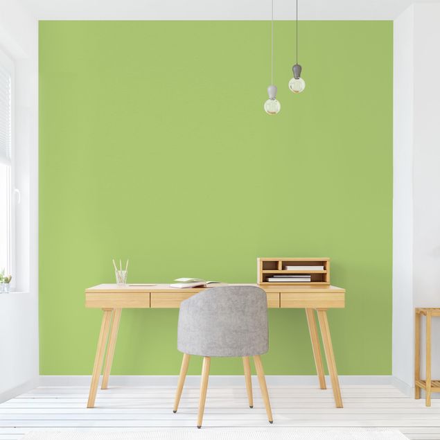 Modern wallpaper designs Colour Spring Green