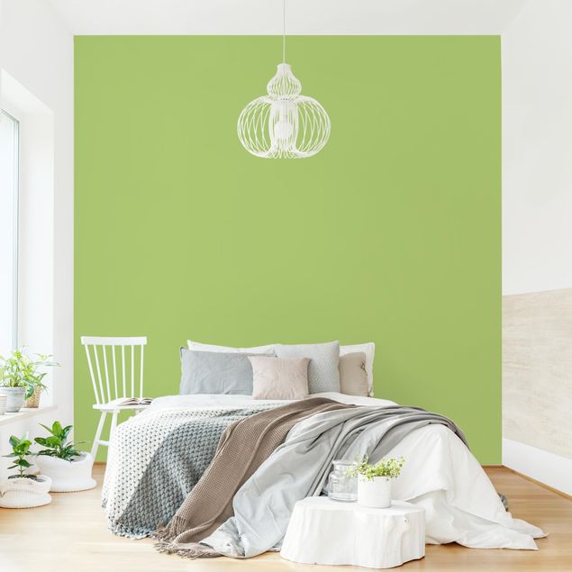 Adhesive wallpaper Colour Spring Green