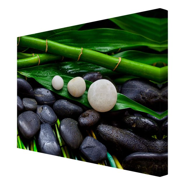 Canvas prints art print Green Bamboo With Zen Stones