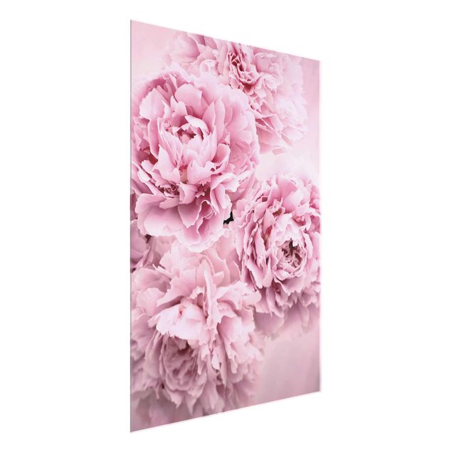 Glass prints flower Pink Peonies