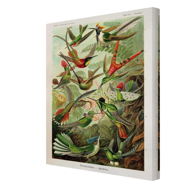 Prints multicoloured Vintage Board Hummingbirds