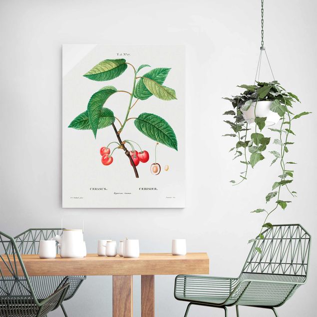 Glass prints flower Botany Vintage Illustration Red Cherries