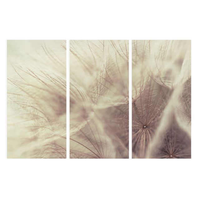 Flower print Detailed Dandelion Macro Shot With Vintage Blur Effect