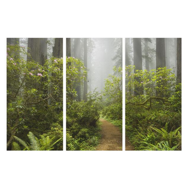 Landscape canvas wall art Misty Forest Path
