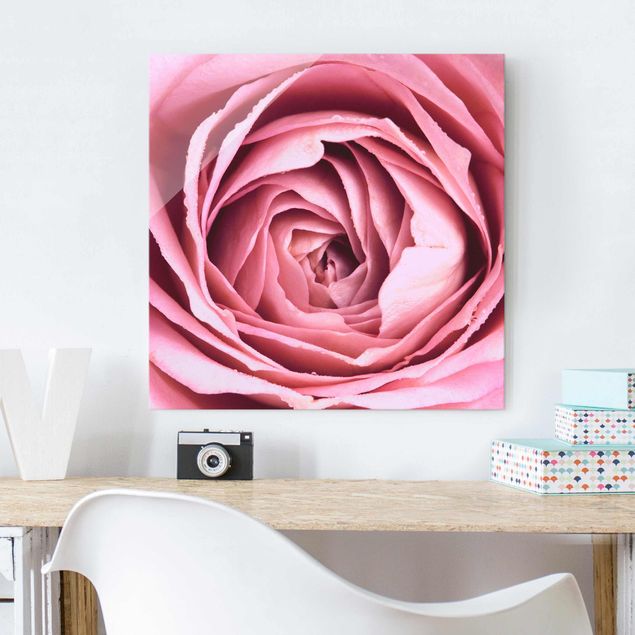 Glas Magnetboard Pink Rose Blossom