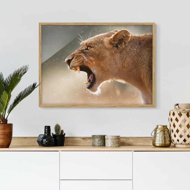 Landscape wall art Lioness on the hunt