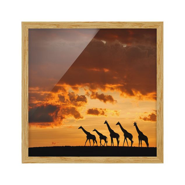 Abstract art prints Five Giraffes