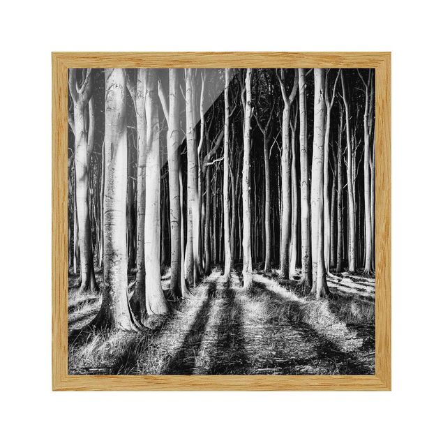 Modern art prints Spooky Forest