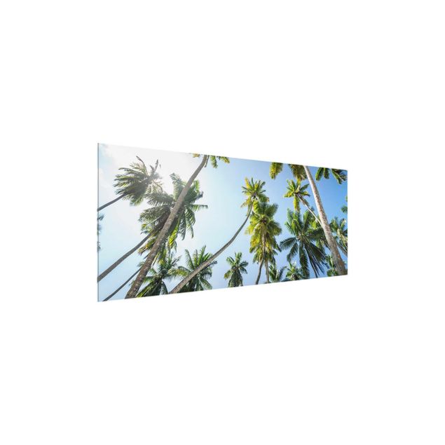 Prints modern Palm Tree Canopy