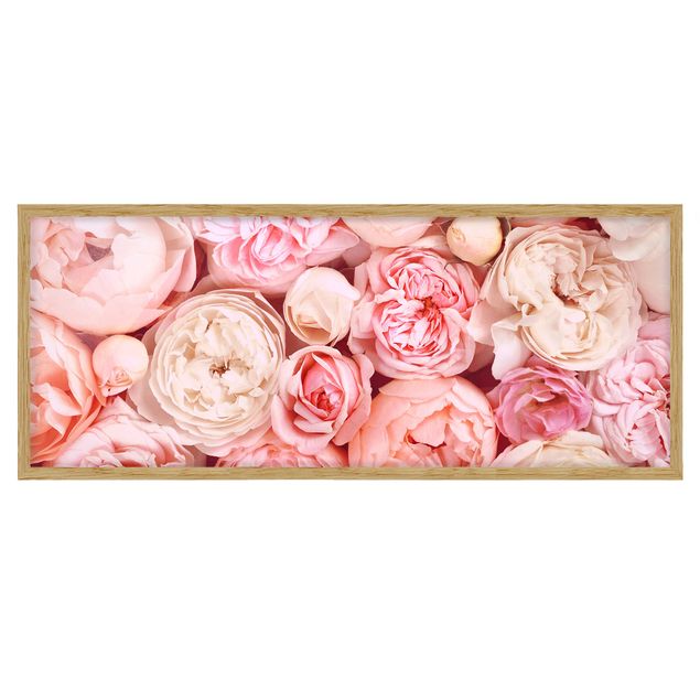 Flower pictures framed Roses Rosé Coral Shabby