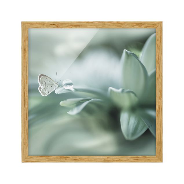 Flower print Butterfly And Dew Drops In Pastel Green