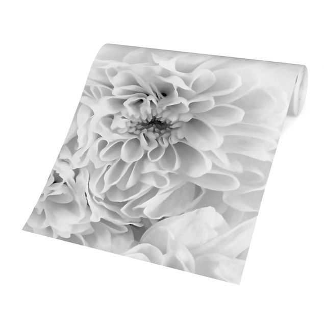 Wallpapers white Dahlia Close-up Black And White