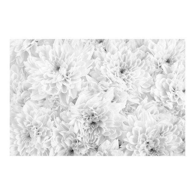 Self adhesive wallpapers Dahlia Close-up Black And White