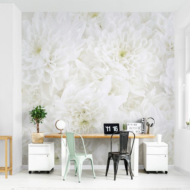 Wallpapers white Dahlias Sea Of Flowers White