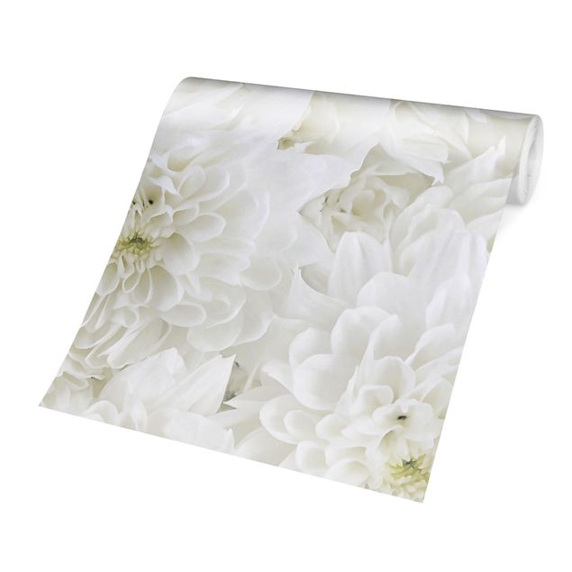 Self adhesive wallpapers Dahlias Sea Of Flowers White