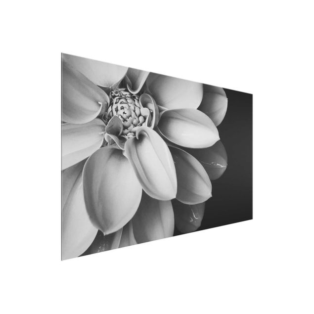 Floral canvas In The Heart Of A Dahlia Black And White