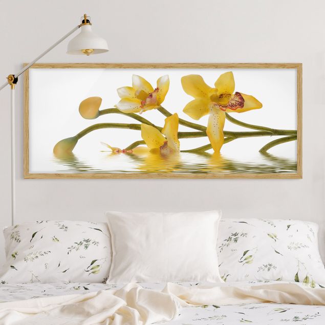 Orchid wall art Saffron Orchid Waters