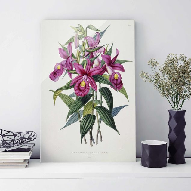 Glass prints orchid Maxim Gauci - Orchid I