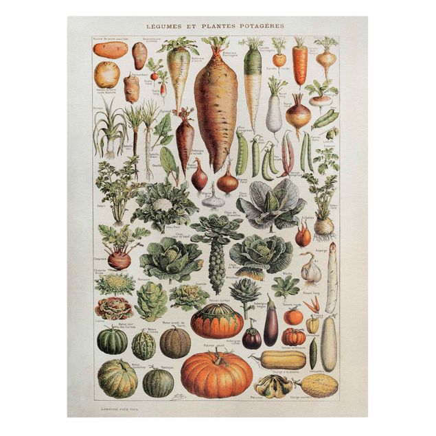 Fruit canvas Vintage Board Vegetables