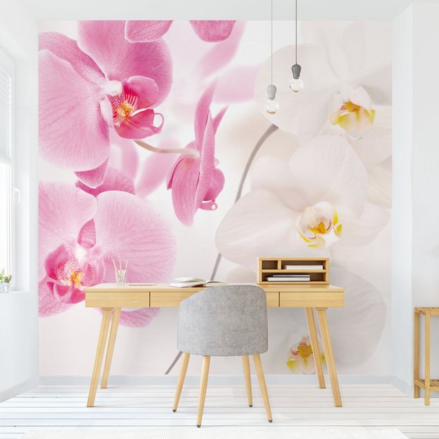 Modern wallpaper designs Delicate Orchids