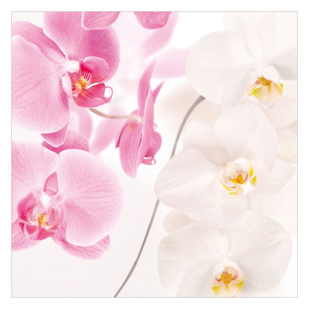Adhesive wallpaper Delicate Orchids