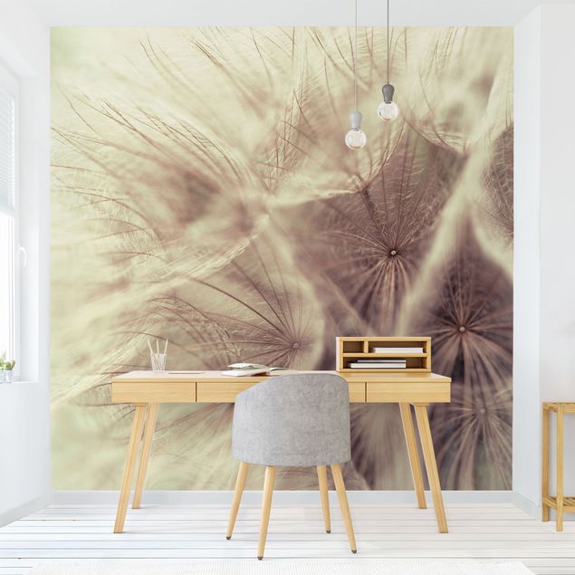 Wallpapers flower Detailed Dandelion Macro Shot With Vintage Blur Effect
