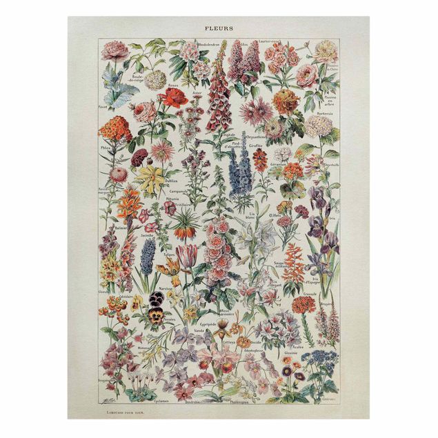 Prints flower Vintage Board Flowers V