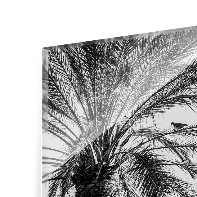 Black and white wall art Palm Trees At Sunset Black And White