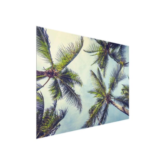 Prints floral The Palm Trees