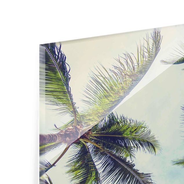 Prints The Palm Trees