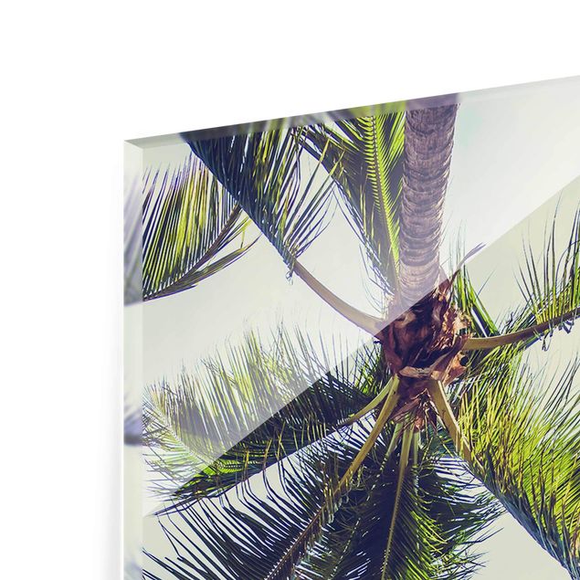 Prints The Palm Trees