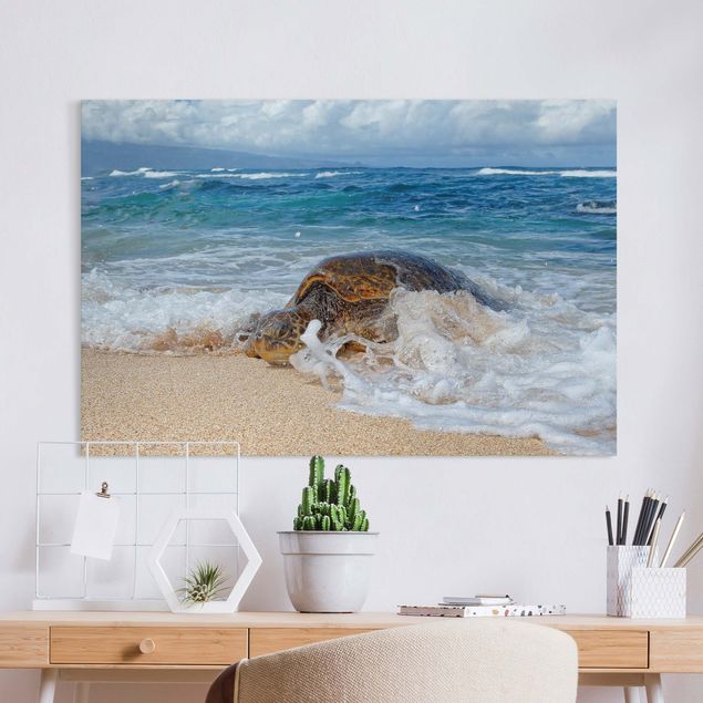Canvas prints fishes The Turtle Returns Home