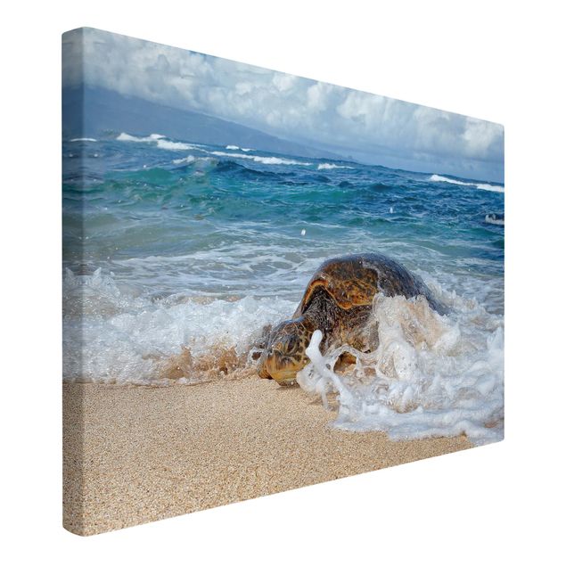Beach wall art The Turtle Returns Home