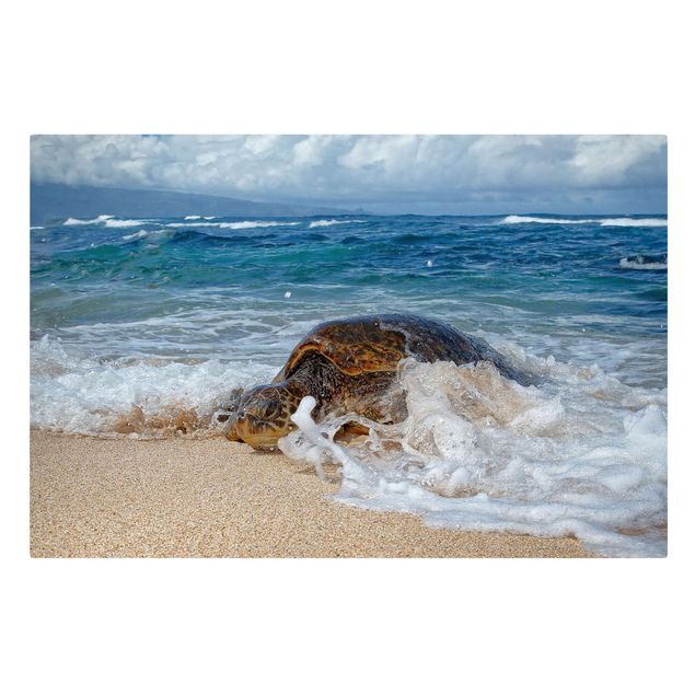 Sea print The Turtle Returns Home