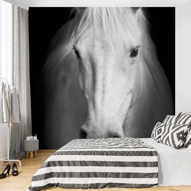 Wallpapers animals Dream Of A Horse