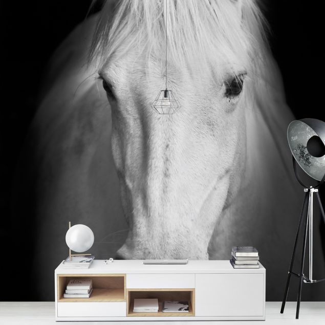 Wallpapers modern Dream Of A Horse