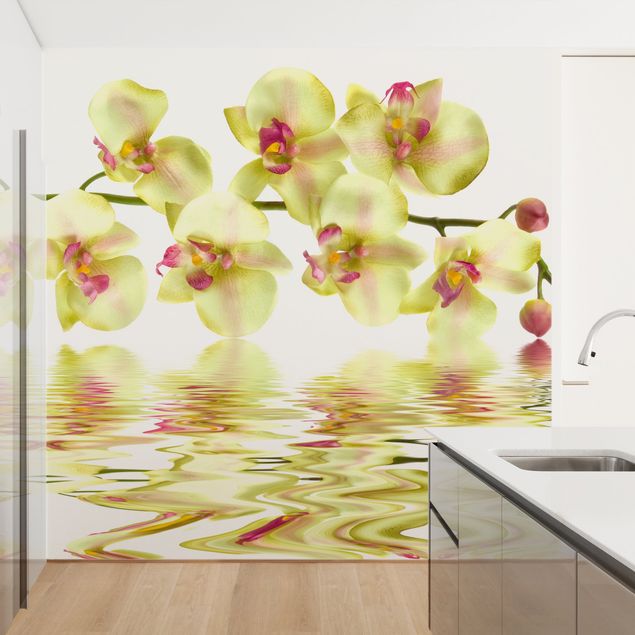 Wallpapers flower Dreamy Orchid Waters