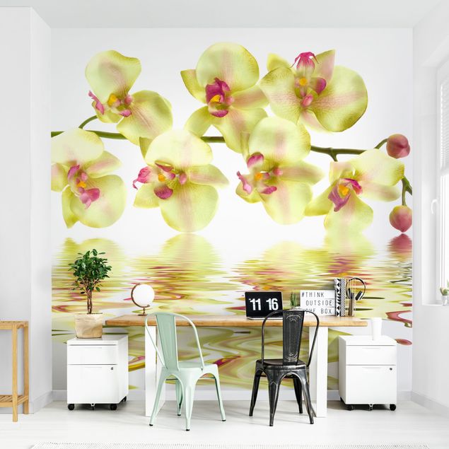 Modern wallpaper designs Dreamy Orchid Waters