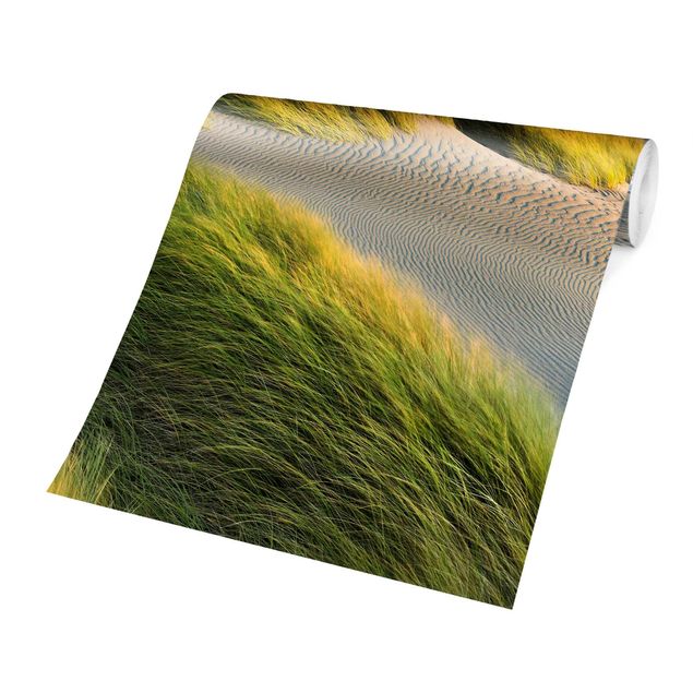 Wallpapers modern Dunes And Grasses At The Sea