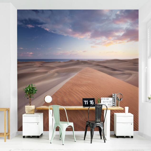 Wallpapers coast View Of Dunes